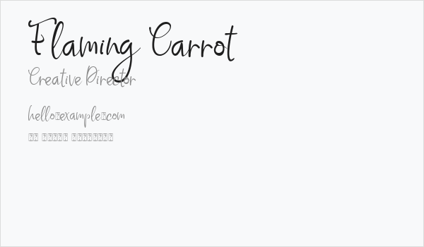 Flaming Carrot Business Card