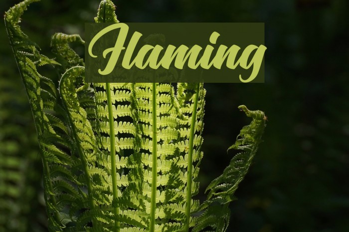 Flaming Font examples