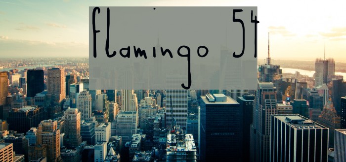Flamingo 54 Example 1
