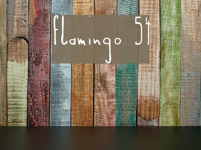 Flamingo 54 Example 2