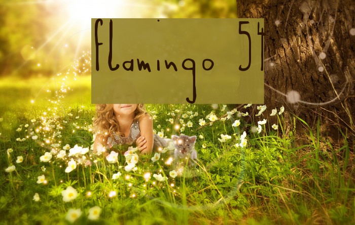 Flamingo 54 Example 3