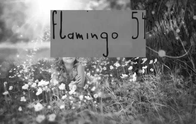 Flamingo 54 Font examples