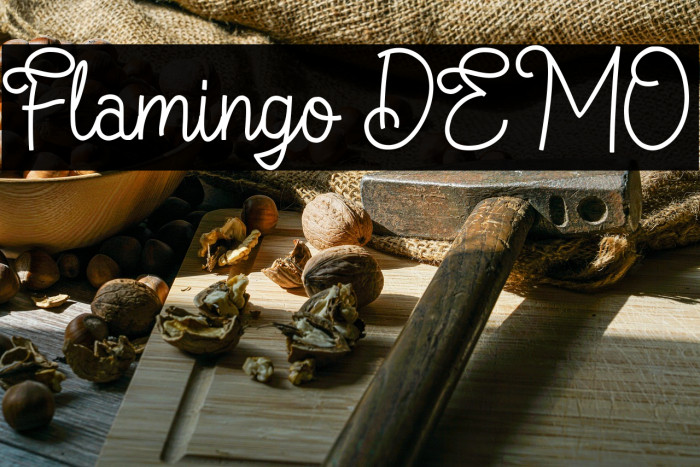 Flamingo DEMO Example 2