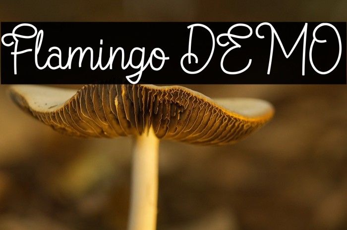 Flamingo DEMO Example 3