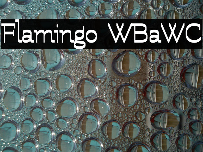 Flamingo WBaWC Example 1