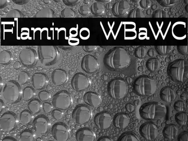 Flamingo WBaWC Font examples