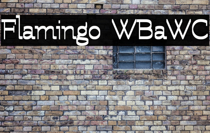 Flamingo WBaWC Example 2