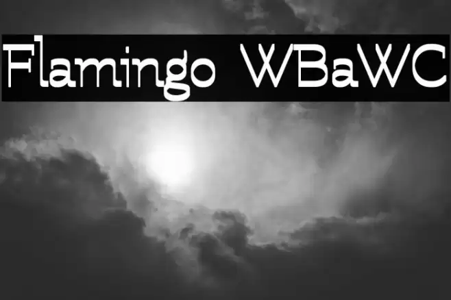 Flamingo WBaWC Font examples