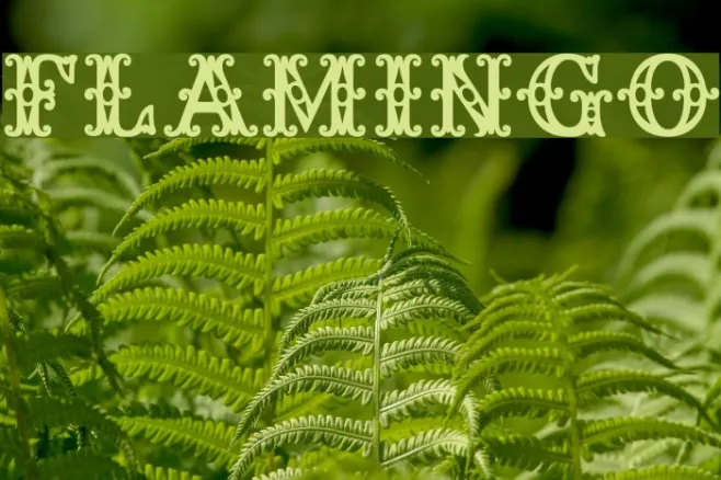 Flamingo Example 1