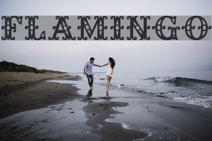 Flamingo Font examples