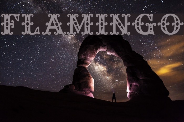 Flamingo Font examples
