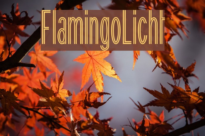 FlamingoLicht Font examples