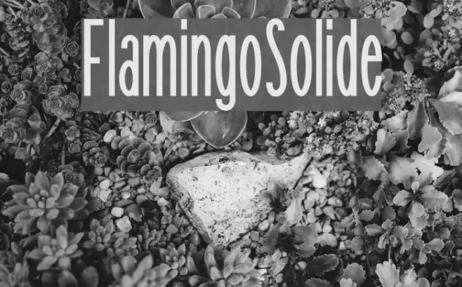 FlamingoSolide फ़ॉन्ट examples