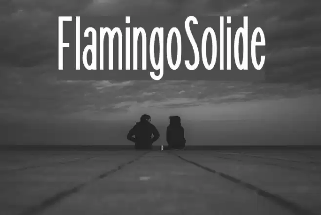 FlamingoSolide फ़ॉन्ट examples
