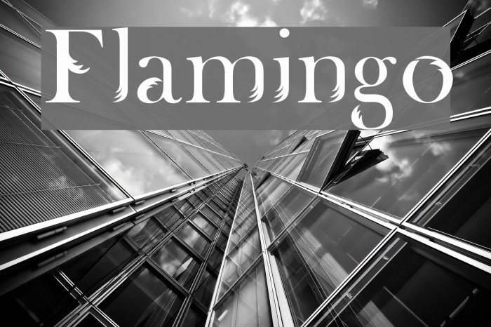 Flamingo Font examples
