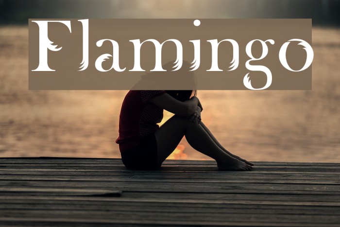 Flamingo Font examples