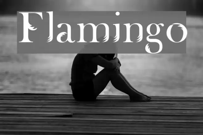 Flamingo Fonte examples