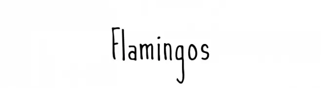 Flamingos  नि: शुल्क फ़ॉन्ट्स डाउनलोड