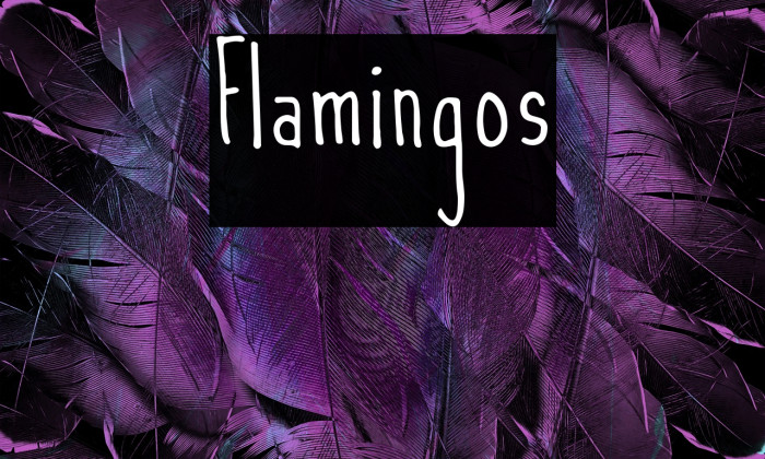 Flamingos Example 2