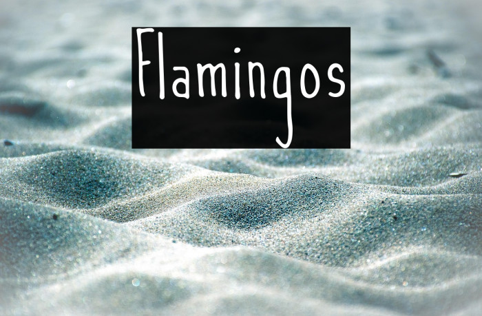 Flamingos Example 3