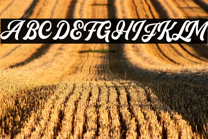 Flanders Script DEMO Example 1