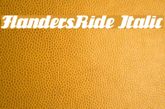FlandersRide Italic Font examples