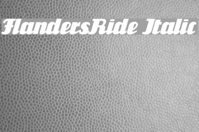 FlandersRide Italic Schriftart examples