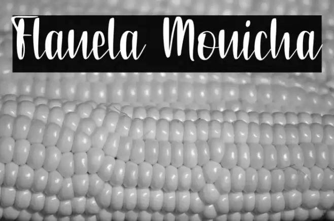 Flanela Monicha Font examples