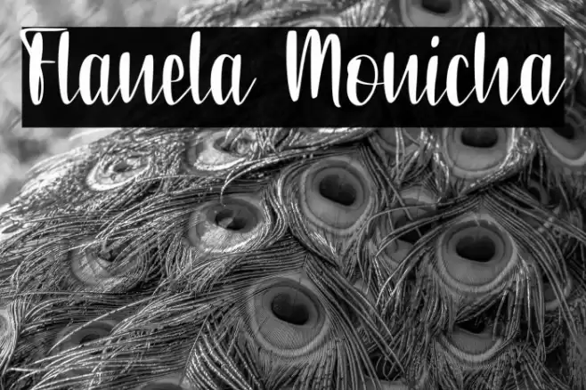 Flanela Monicha Font examples