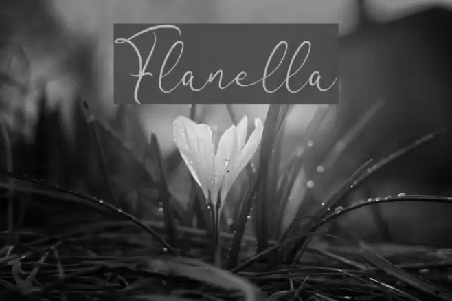 Flanella Font examples
