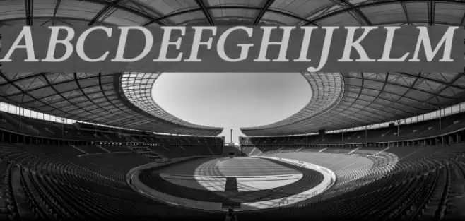 FlankerGriffo-BoldItalic Font examples