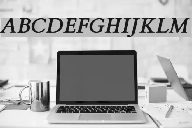 FlankerGriffo-BoldItalic Font examples