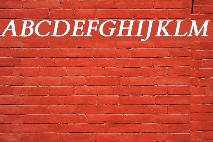 FlankerGriffo-BoldItalic Font examples