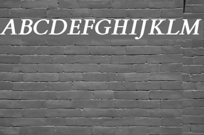 FlankerGriffo-BoldItalic Font examples