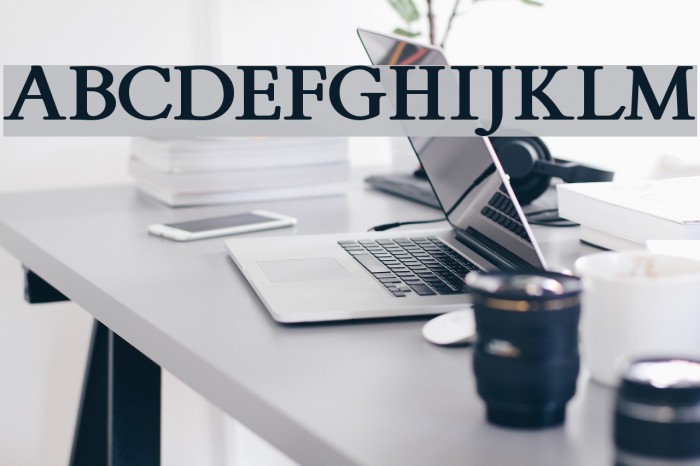 FlankerGriffo-Bold Font examples