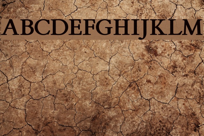 FlankerGriffo-Bold Font examples