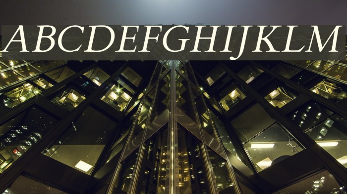 FlankerGriffo-Italic Font examples