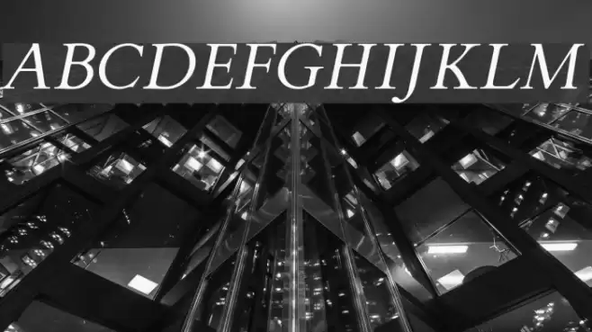 FlankerGriffo-Italic Font examples
