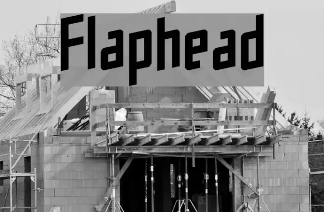 Flaphead خط examples