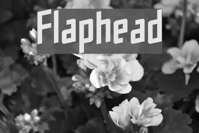 Flaphead خط examples