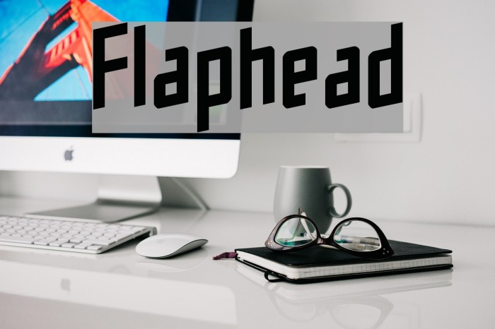 Flaphead Font examples