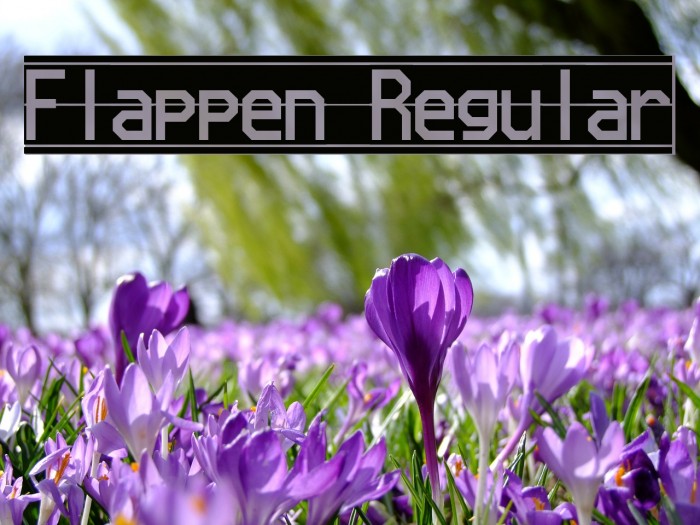 Flappen Regular Font examples