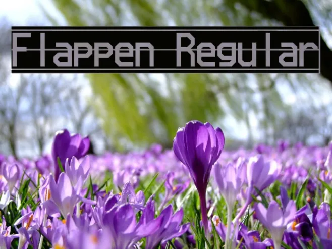 Flappen Regular Example 3