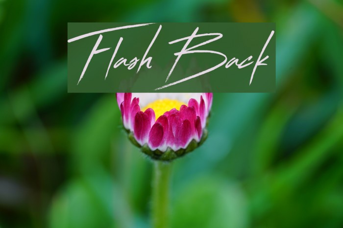 Flash Back Font examples