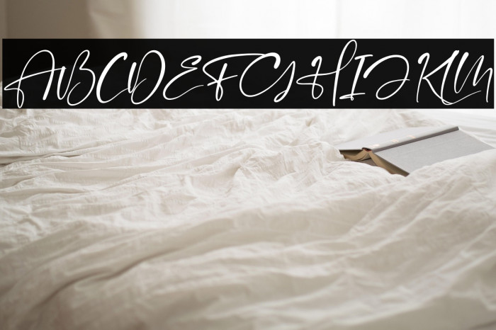 Flash Light Italic Example 3