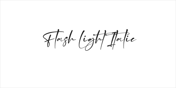 Flash Light Italic Logo