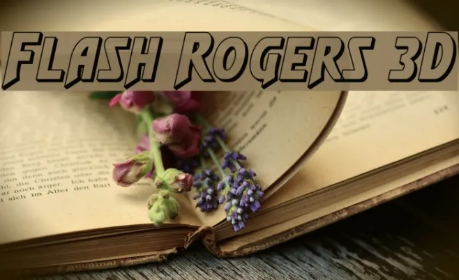 Flash Rogers 3D Example 3