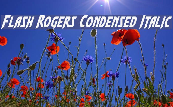 Flash Rogers Condensed Italic Font examples