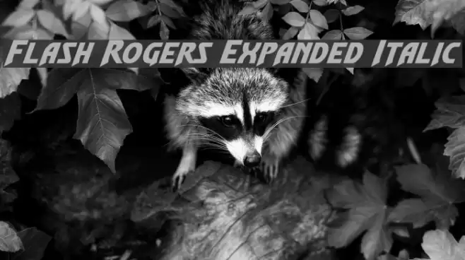 Flash Rogers Expanded Italic Font examples