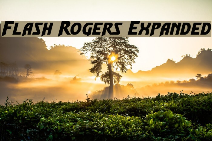 Flash Rogers Expanded Font examples
